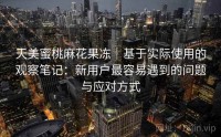 天美蜜桃麻花果冻｜基于实际使用的观察笔记：新用户最容易遇到的问题与应对方式