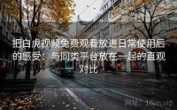 把白虎视频免费观看放进日常使用后的感受：与同类平台放在一起的直观对比