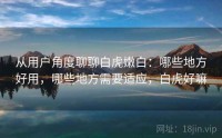 从用户角度聊聊白虎嫩白：哪些地方好用，哪些地方需要适应，白虎好嘛
