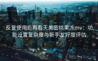 反复使用后再看天美密桃果冻mv：功能设置复杂度与新手友好度评估