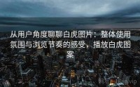从用户角度聊聊白虎图片：整体使用氛围与浏览节奏的感受，播放白虎图案