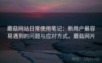 蘑菇网站日常使用笔记：新用户最容易遇到的问题与应对方式，蘑菇网片