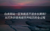 白虎网站一区到底适不适合长期用？从打开到使用顺手所经历的全过程