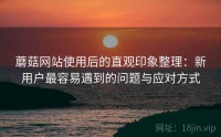 蘑菇网站使用后的直观印象整理：新用户最容易遇到的问题与应对方式