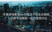 天美密桃果冻mv到底适不适合长期用？与同类平台放在一起的直观对比