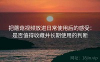 把蘑菇视频放进日常使用后的感受：是否值得收藏并长期使用的判断