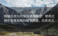 围绕白虎91的实际使用感想：使用过程中容易忽略的细节提醒，白虎虎式