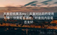 天美密桃果冻mv｜反复对比后的使用印象：分类是否清晰，对查找内容是否友好