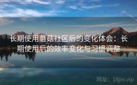 长期使用蘑菇社区后的变化体会：长期使用后的效率变化与习惯调整