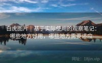 白虎图片｜基于实际使用的观察笔记：哪些地方好用，哪些地方需要适应