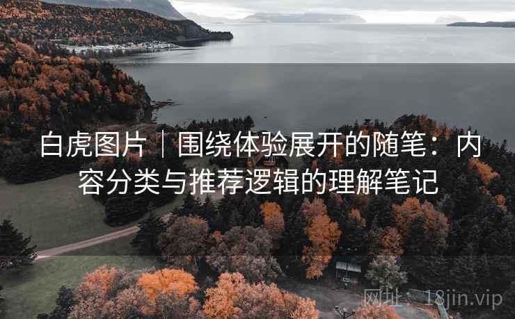 白虎图片|围绕体验展开的随笔:内容分类与推荐逻辑的理解笔记 白虎图片|围绕体验展开的随笔:内容分类与推荐逻辑的理解笔记