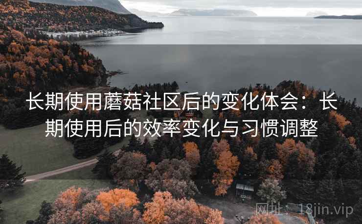 长期使用蘑菇社区后的变化体会：长期使用后的效率变化与习惯调整