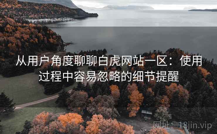 从用户角度聊聊白虎网站一区：使用过程中容易忽略的细节提醒