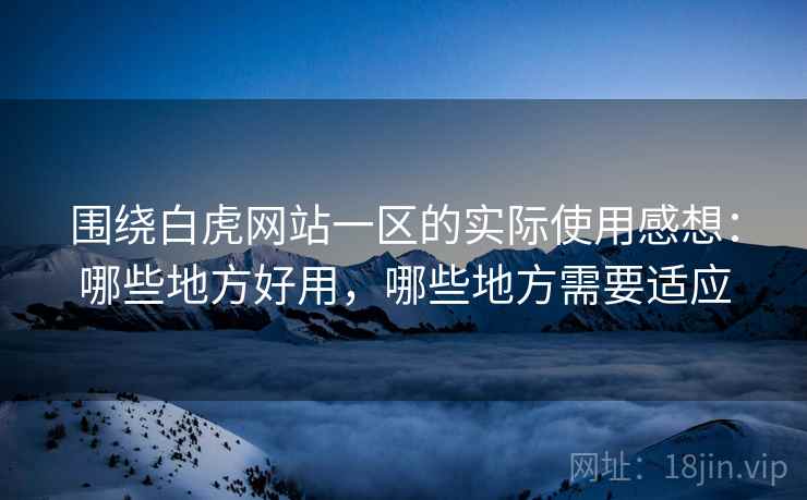 围绕白虎网站一区的实际使用感想：哪些地方好用，哪些地方需要适应