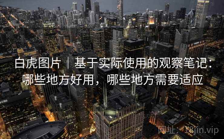 白虎图片｜基于实际使用的观察笔记：哪些地方好用，哪些地方需要适应