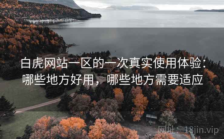 白虎网站一区的一次真实使用体验：哪些地方好用，哪些地方需要适应