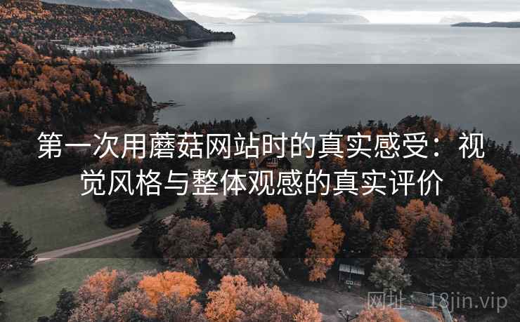 第一次用蘑菇网站时的真实感受：视觉风格与整体观感的真实评价