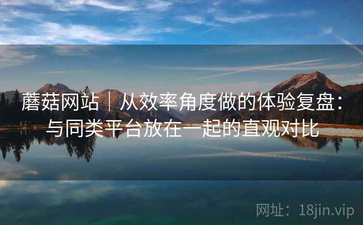 蘑菇网站｜从效率角度做的体验复盘：与同类平台放在一起的直观对比