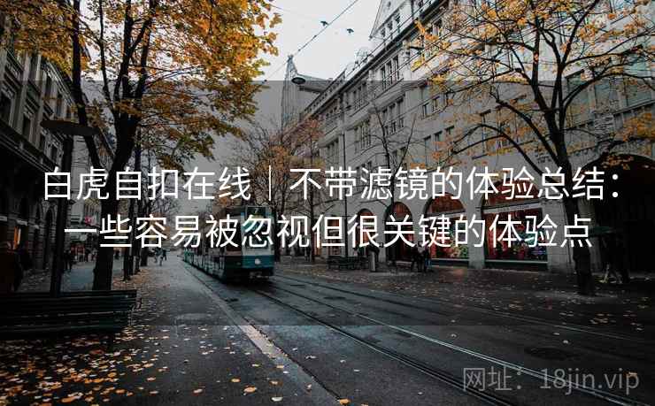 白虎自扣在线|不带滤镜的体验总结:一些容易被忽视但很关键的体验点 白虎自扣在线|不带滤镜的体验总结:一些容易被忽视但很关键的体验点
