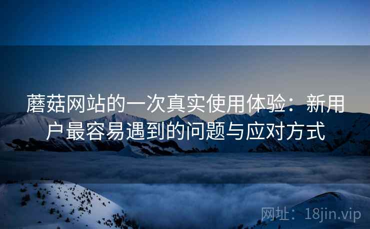 蘑菇网站的一次真实使用体验:新用户最容易遇到的问题与应对方式 蘑菇网站的一次真实使用体验:新用户最容易遇到的问题与应对方式
