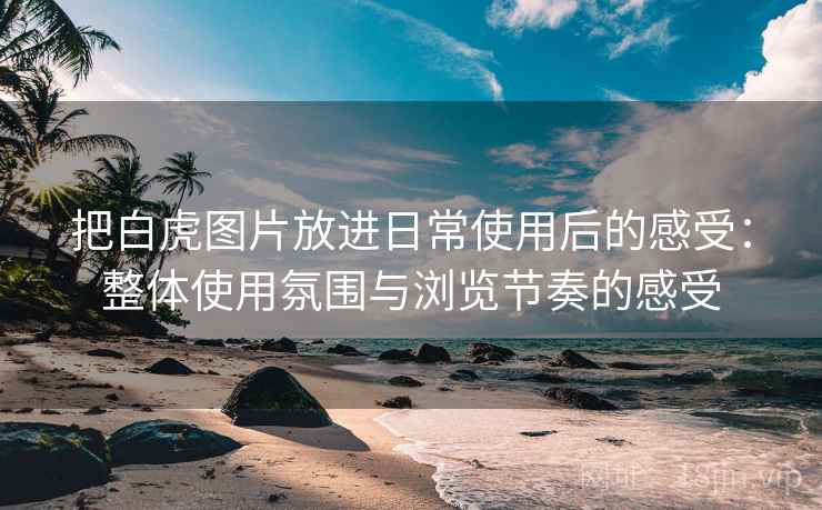 把白虎图片放进日常使用后的感受:整体使用氛围与浏览节奏的感受 把白虎图片放进日常使用后的感受:整体使用氛围与浏览节奏的感受
