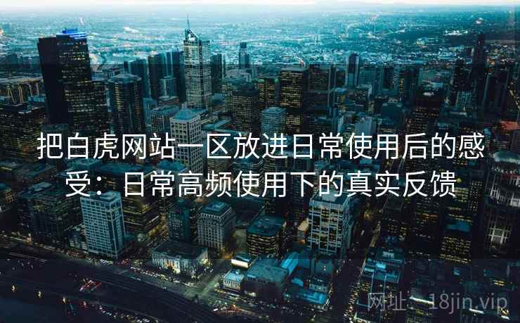 把白虎网站一区放进日常使用后的感受：日常高频使用下的真实反馈